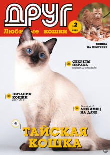 Обложка ДРУГ. Любимые кошки / ДРУГ. ЖУРНАЛ ДЛЯ ЛЮБИТЕЛЕЙ КОШЕК