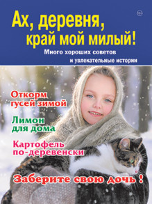 Обложка Ах, деревня, край мой милый! Много хороших советов и увлекательные истории (Россия)
