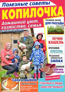 Обложка КОПИЛОЧКА. Полезные советы. Домашний уют, хозяйство, семья (Россия)