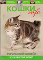 Журнал Кошки info